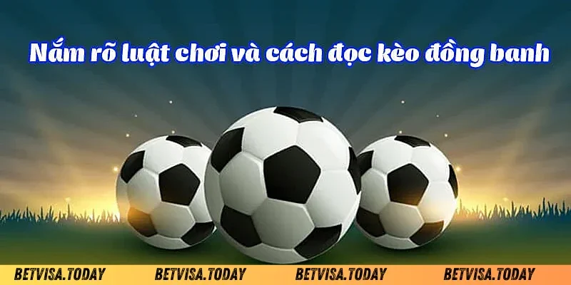 Kèo Đồng Banh Betvisa - Cách Soi Kèo Chuẩn Xác Cho Bet Thủ Cách tính thắng thua khi cược kèo đồng banh Betvisa