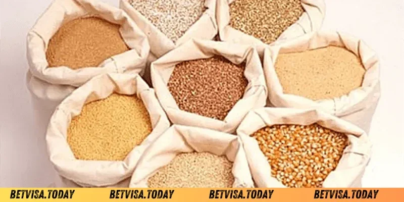 Ngũ Cốc Cho Gà Đá